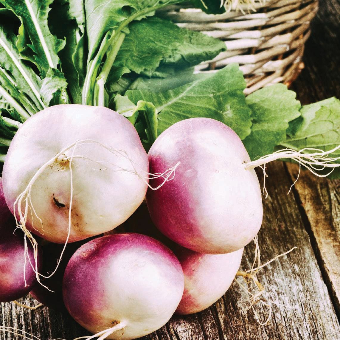 Turnip – MIgardener