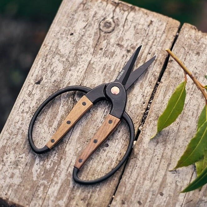 Barebones Small Scissors – MIgardener