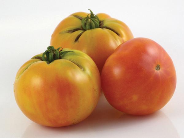 Wherokowhai Tomato (Dwarf Bush)
