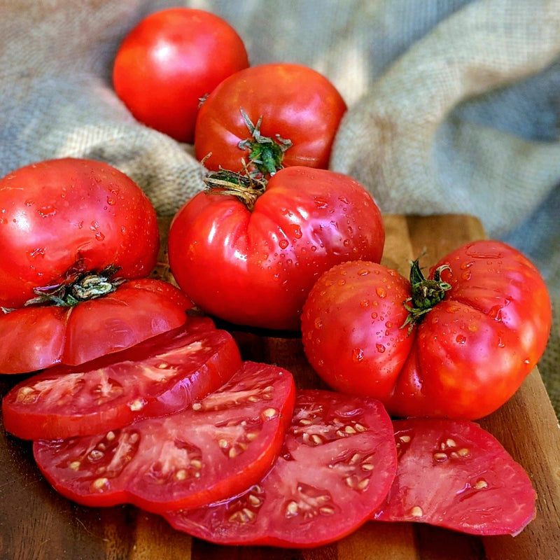 Giant Crimson Tomato