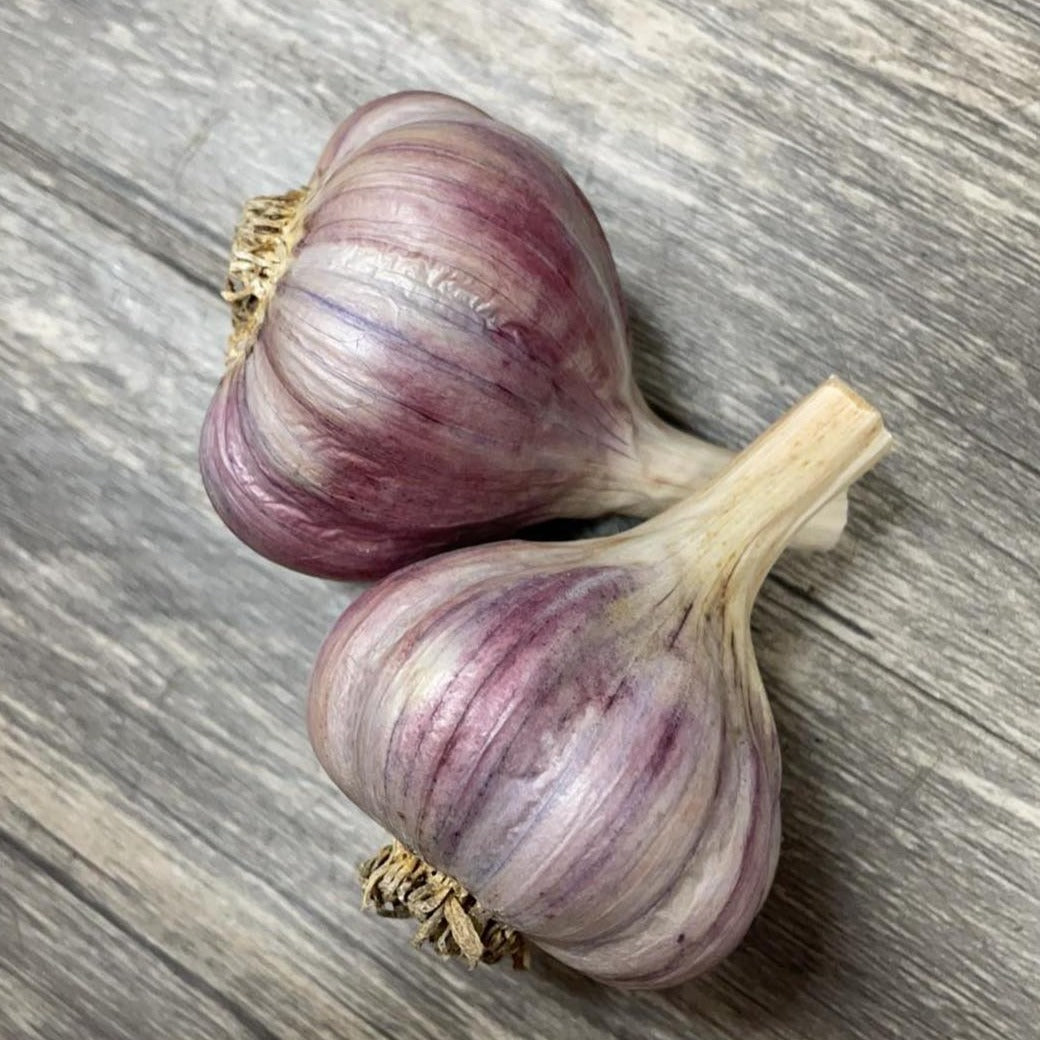 Deerfield (Hardneck) Garlic