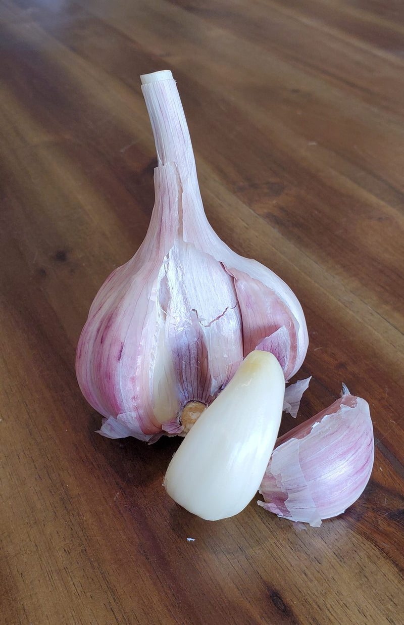 2023 Duganski (Hardneck) Garlic