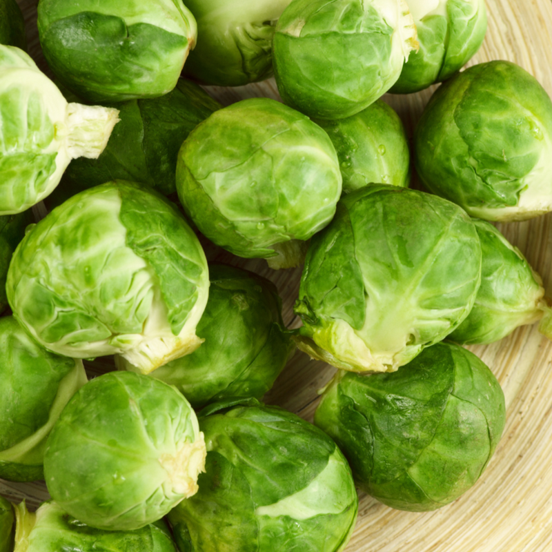 Catskill Brussel Sprout