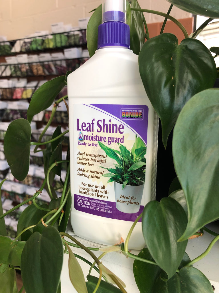 Leaf Shine & Moisture Guard Spray Ready-to-Use - Bonide