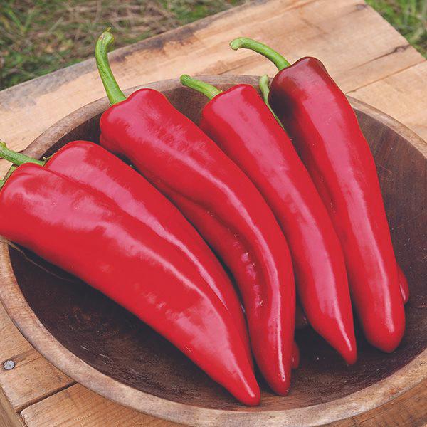 Numex Joe Parker Pepper MIgardener
